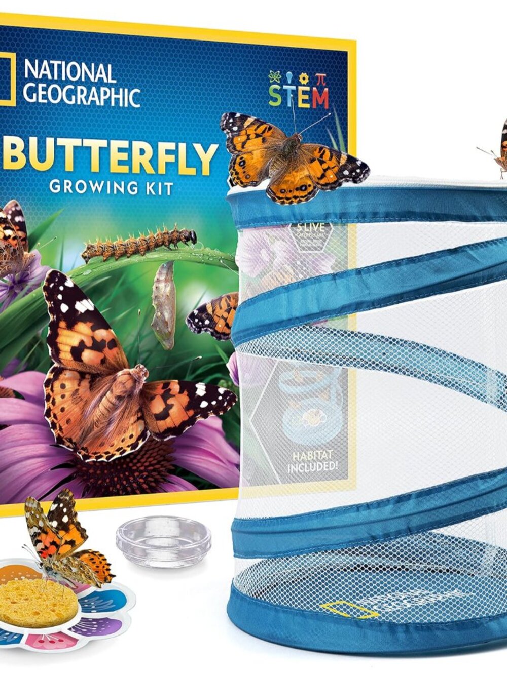 National Geographic Butterfly Growing Kit for Kids Nature Activity